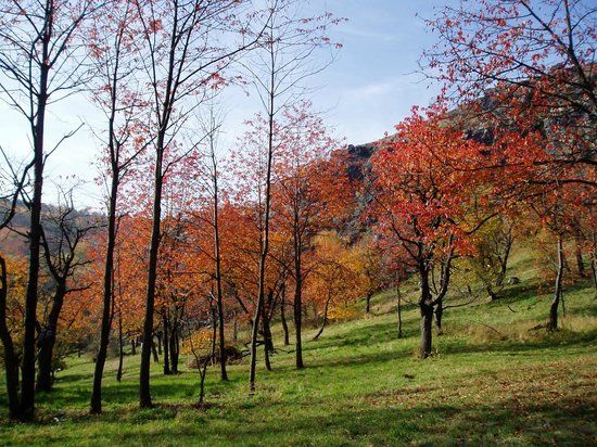 Natuurreservaat Divoká Šárka